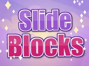 Slide blocks Puzzle